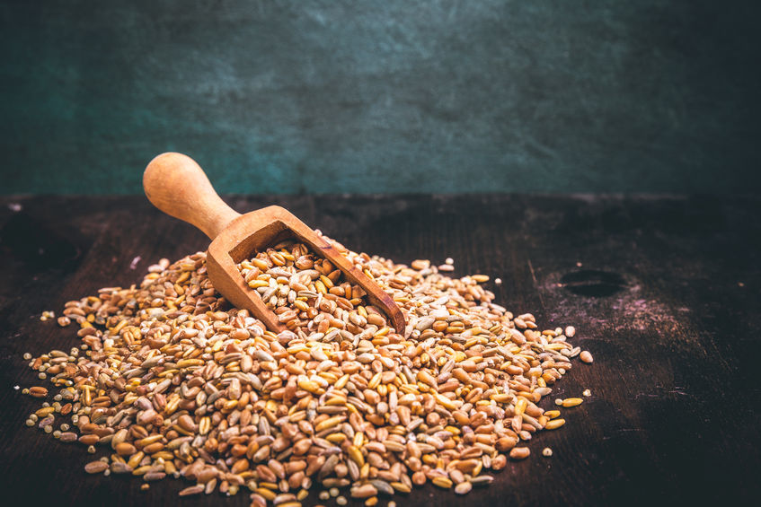 Insalata di farro e ceci con verdurine di primavera insalata di farro e ceci con verdurine di primavera